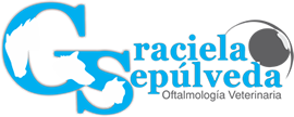 Graciela Sepulveda Logo